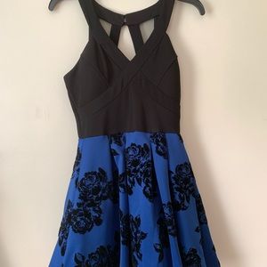 Black and Blue Rose Dress